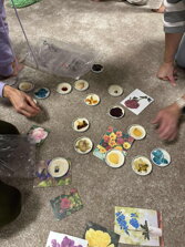 no-wm-lieciva-sila-prirody2