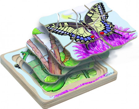 vrstvové puzzle vývoj motýľa