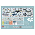 Ohrozené živočíchy v oceánoch - puzzle