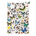 Puzzle Motýle (200)