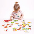 Puzzle Hmyz