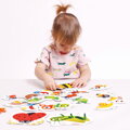 Puzzle Hmyz