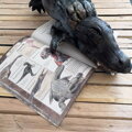 Dinosaury a iné prehistorické zvieratá