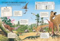 Dinosaury a iné prehistorické zvieratá