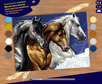 Maľovanie podľa čísel Divoké kone