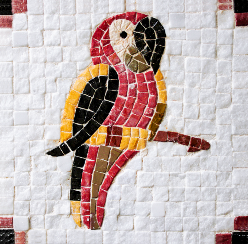 Mozaika Papagáj