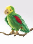Maňuška Amazonský papagáj